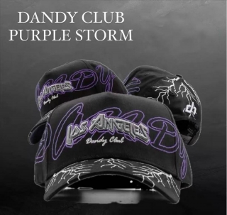 Dandy Hats Purple Storm Los Angeles Dandy Club Curved Snapback Hats NFC Chip Works 127490