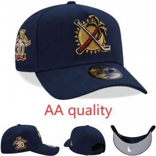 Florida Panthers NHL 9FORTY Curved Adjustable Hats 129120