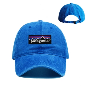 Patagonia Curved Adjustable Hats 129911