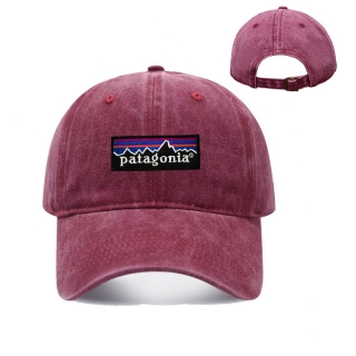 Patagonia Curved Adjustable Hats 129916
