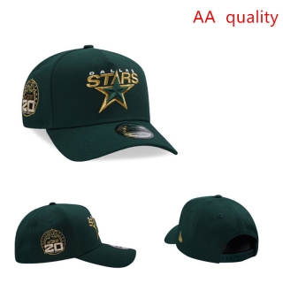 Dallas Stars NHL 9FORTY Curved Adjustable Hats 131168
