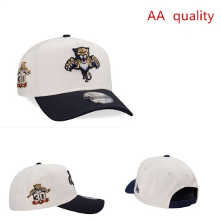 Florida Panthers NHL 9FORTY Curved Adjustable Hats 131179