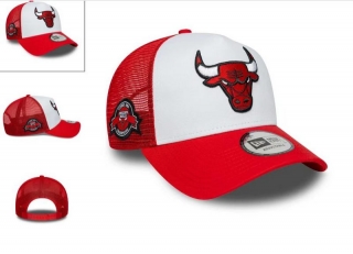 Chicago Bulls NBA Curved Adjustable Hats 131323