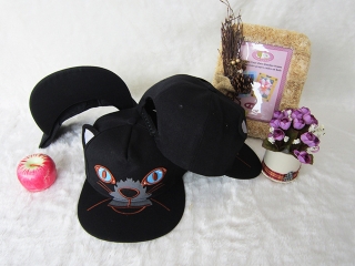 Kitty Cartoon Snapback Hats Flat Brim 12396