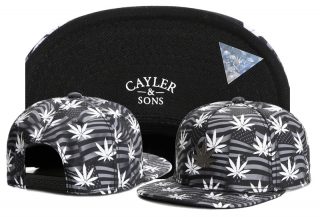 CAYLER & SONS Snapback Hats 25159