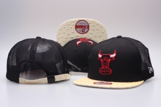 NBA Chicago Bulls Mesh Snapback Hats 31319