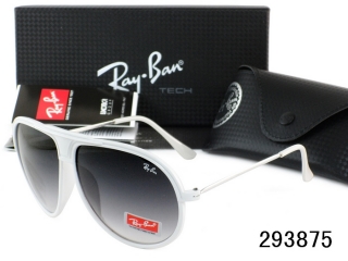 Ray Ban Sunglasses AAA Metal Frame 38100