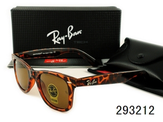 Ray Ban Sunglasses AAA Plastic Frame 38119