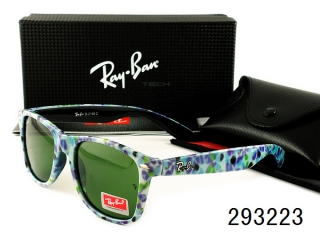 Ray Ban Sunglasses AAA Plastic Frame 38124