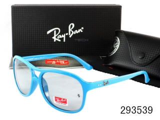 Ray Ban Sunglasses AAA Plastic Frame 38161