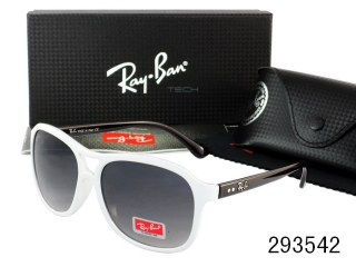 Ray Ban Sunglasses AAA Plastic Frame 38162