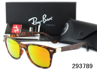 Ray Ban Sunglasses AAA Plastic Frame 38166