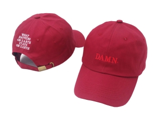 DAMN Curved Snapback Hats 48046