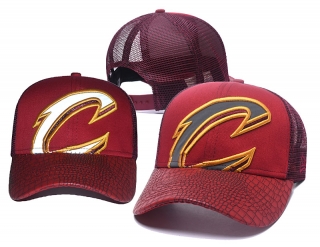 NBA Cleveland Cavaliers Curved Mesh Snapback Hats 51145