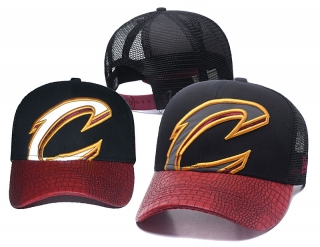 NBA Cleveland Cavaliers Curved Mesh Snapback Hats 51146