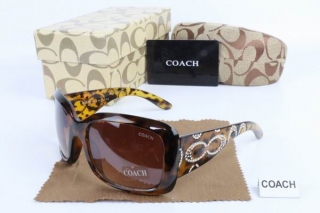 COACH AAA Sunglasses 65419