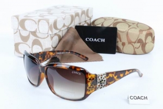 COACH AAA Sunglasses 65423