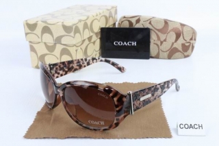 COACH AAA Sunglasses 65424