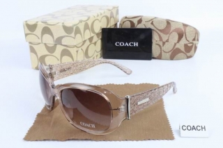 COACH AAA Sunglasses 65425