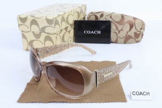 COACH AAA Sunglasses 65427