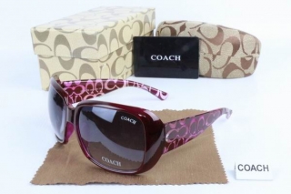 COACH AAA Sunglasses 65433