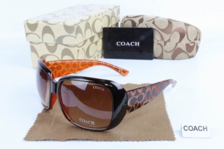 COACH AAA Sunglasses 65441