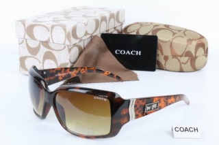 COACH AAA Sunglasses 65459