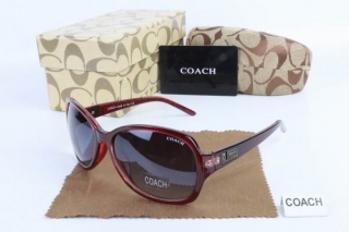 COACH AAA Sunglasses 65473