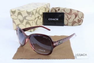 COACH AAA Sunglasses 65475
