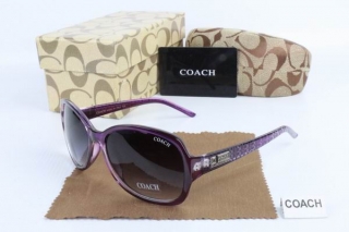 COACH AAA Sunglasses 65478