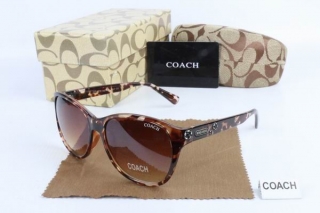 COACH AAA Sunglasses 65490