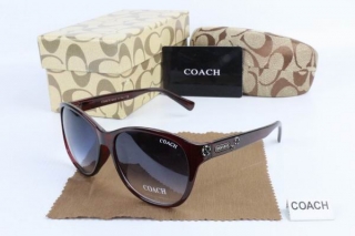 COACH AAA Sunglasses 65491
