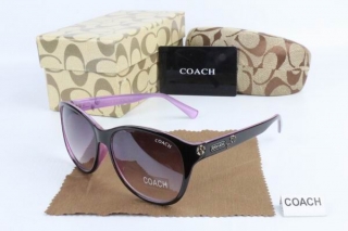 COACH AAA Sunglasses 65494