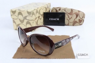 COACH AAA Sunglasses 65501