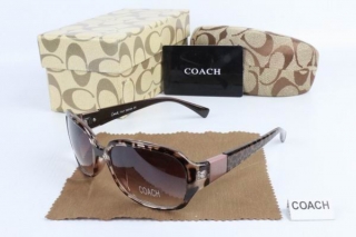 COACH AAA Sunglasses 65504
