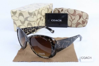 COACH AAA Sunglasses 65509