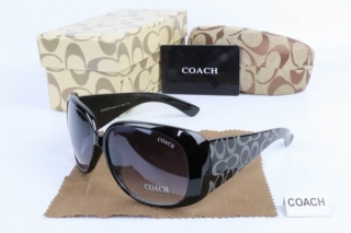 COACH AAA Sunglasses 65513