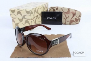 COACH AAA Sunglasses 65534