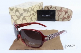 COACH AAA Sunglasses 65536