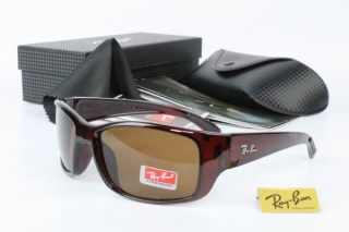 Ray Ban AAA Sunglasses 67300