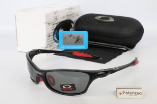 Okley Polarized sunglasses 67738