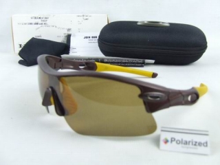 Okley Polarized sunglasses 67828