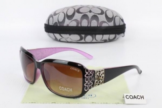 COACH Sunglasses 68328