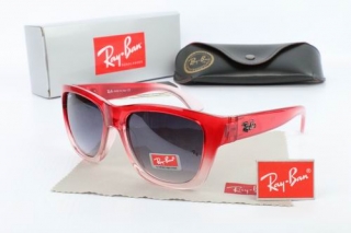 Ray Ban Sunglasses 70132