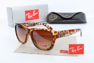 Ray Ban Sunglasses 70134