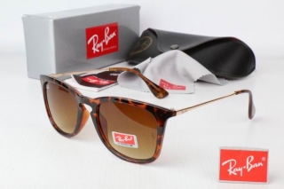 Ray Ban Sunglasses 70248