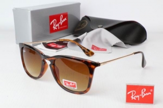 Ray Ban Sunglasses 70249