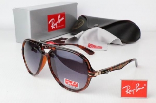 Ray Ban Sunglasses 70261