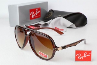 Ray Ban Sunglasses 70262