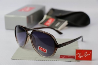 Ray Ban Sunglasses 70280